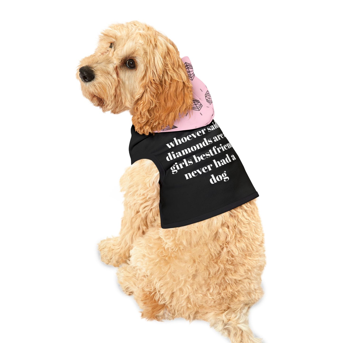 Pet Hoodie