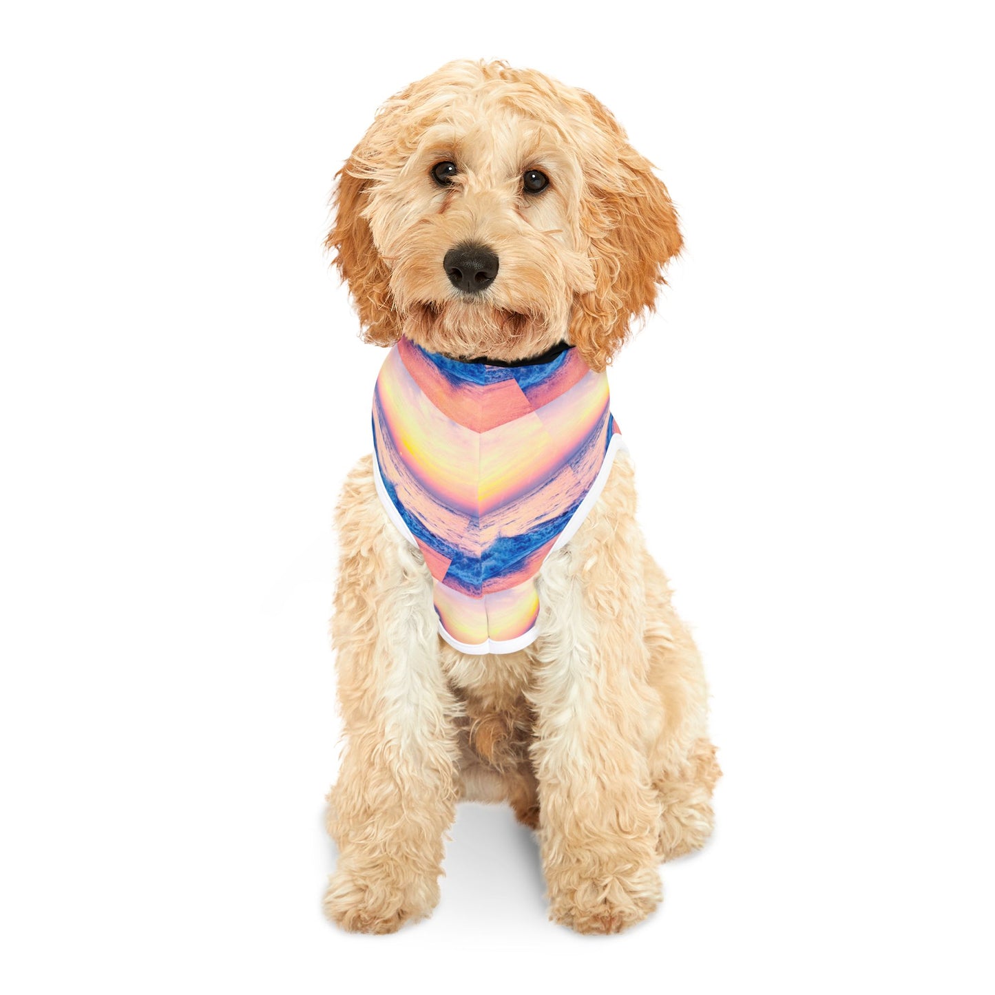 Pet Hoodie