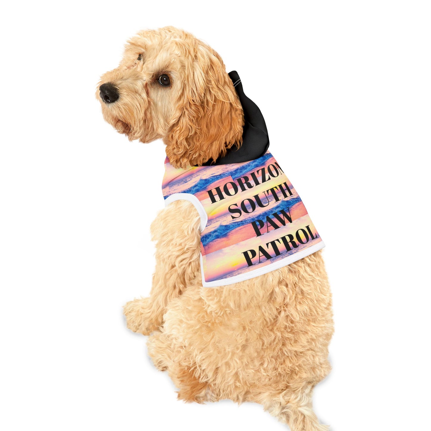 Pet Hoodie