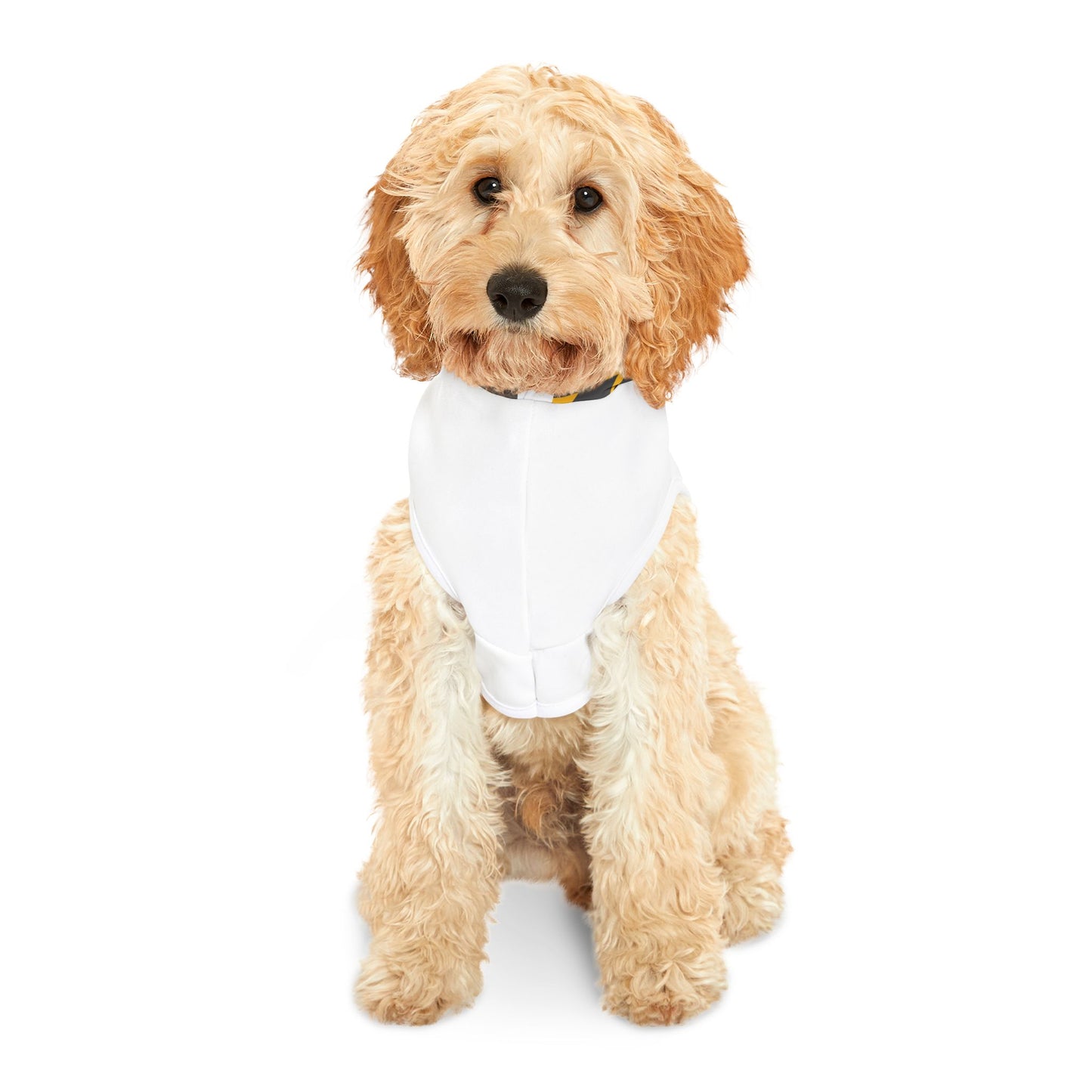 Pet Hoodie