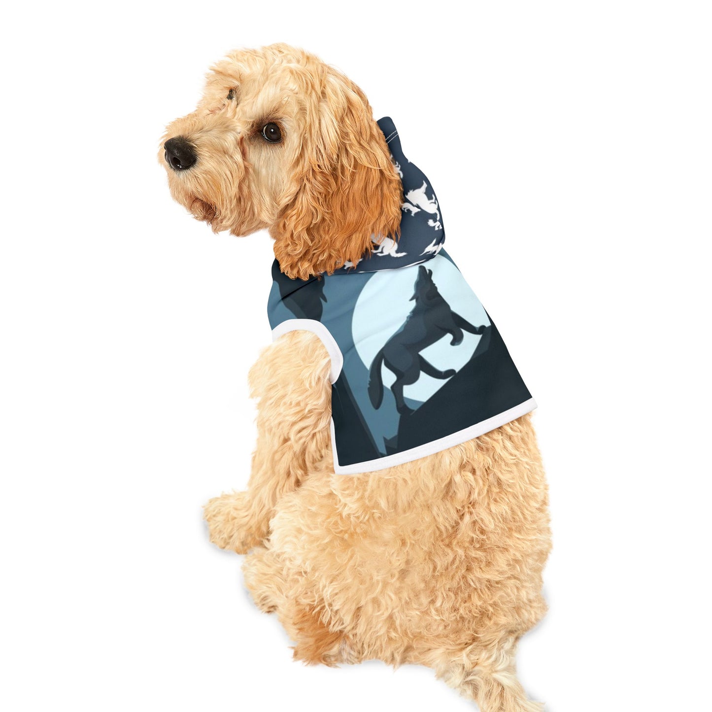 Pet Hoodie