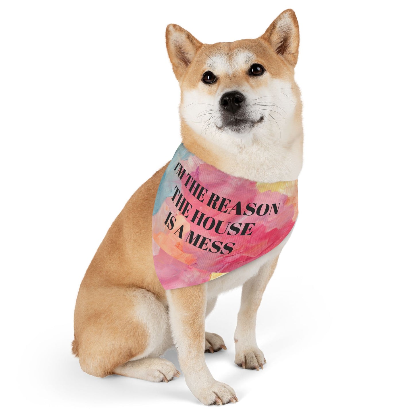 Pet Bandana Collar