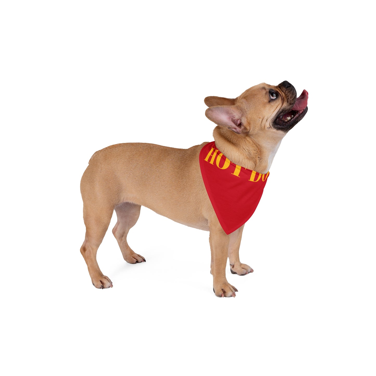 Pet Bandana