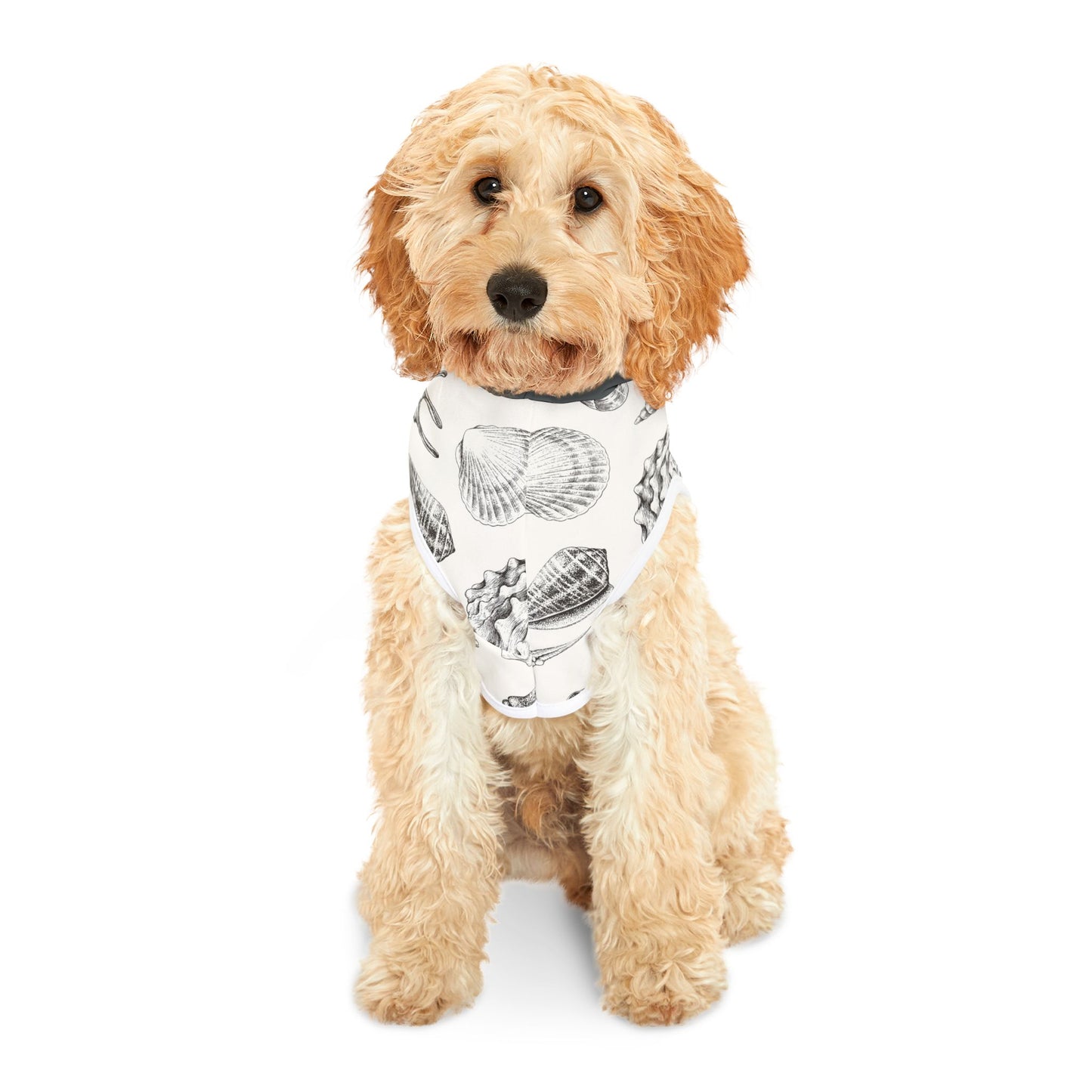 Pet Hoodie